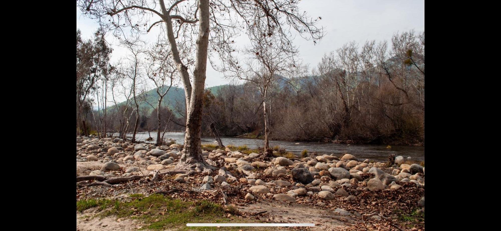 Sequoia River Front Cabins Three Rivers Eksteriør billede