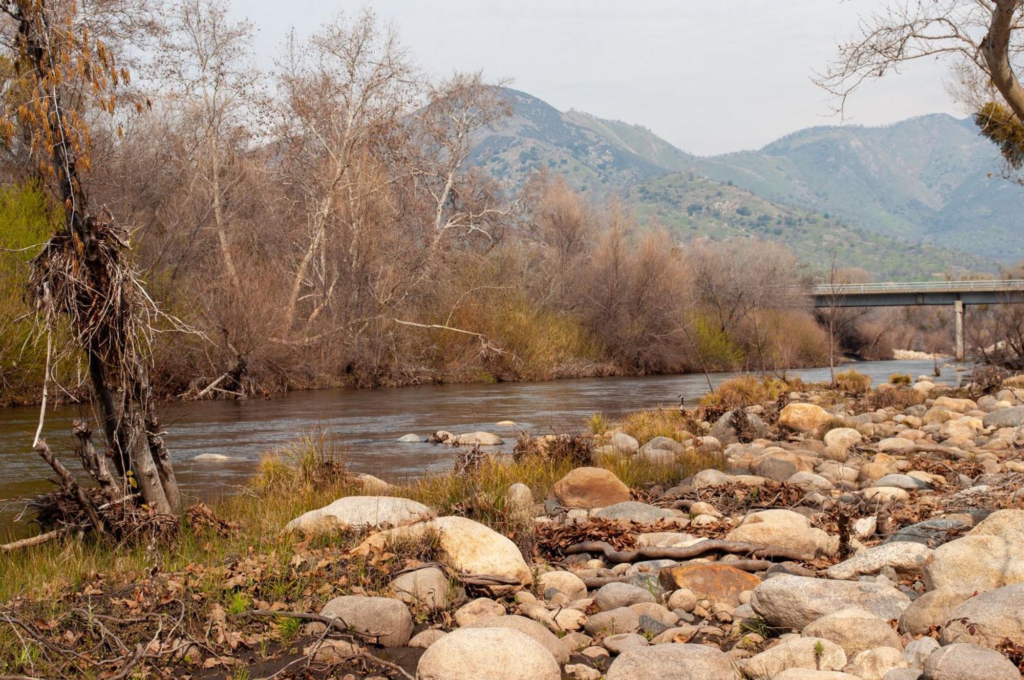 Sequoia River Front Cabins Three Rivers Eksteriør billede