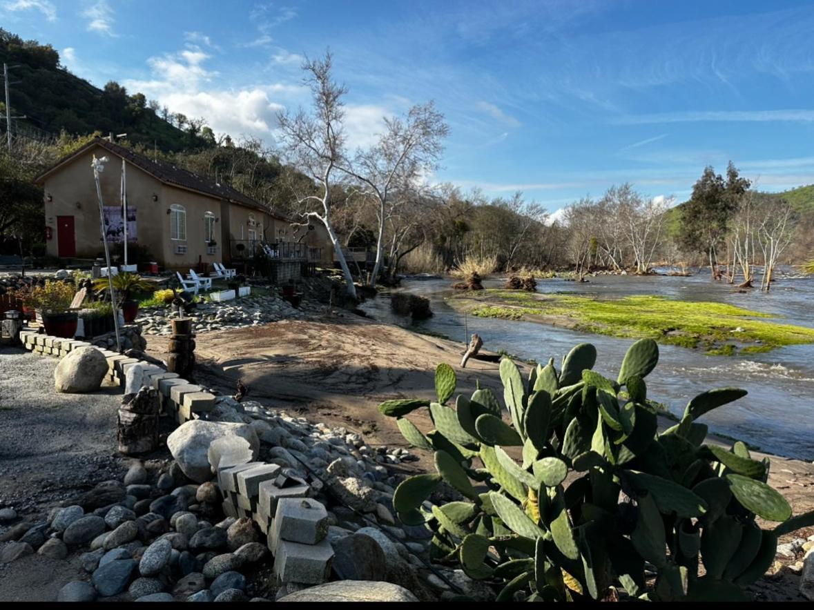 Sequoia River Front Cabins Three Rivers Eksteriør billede