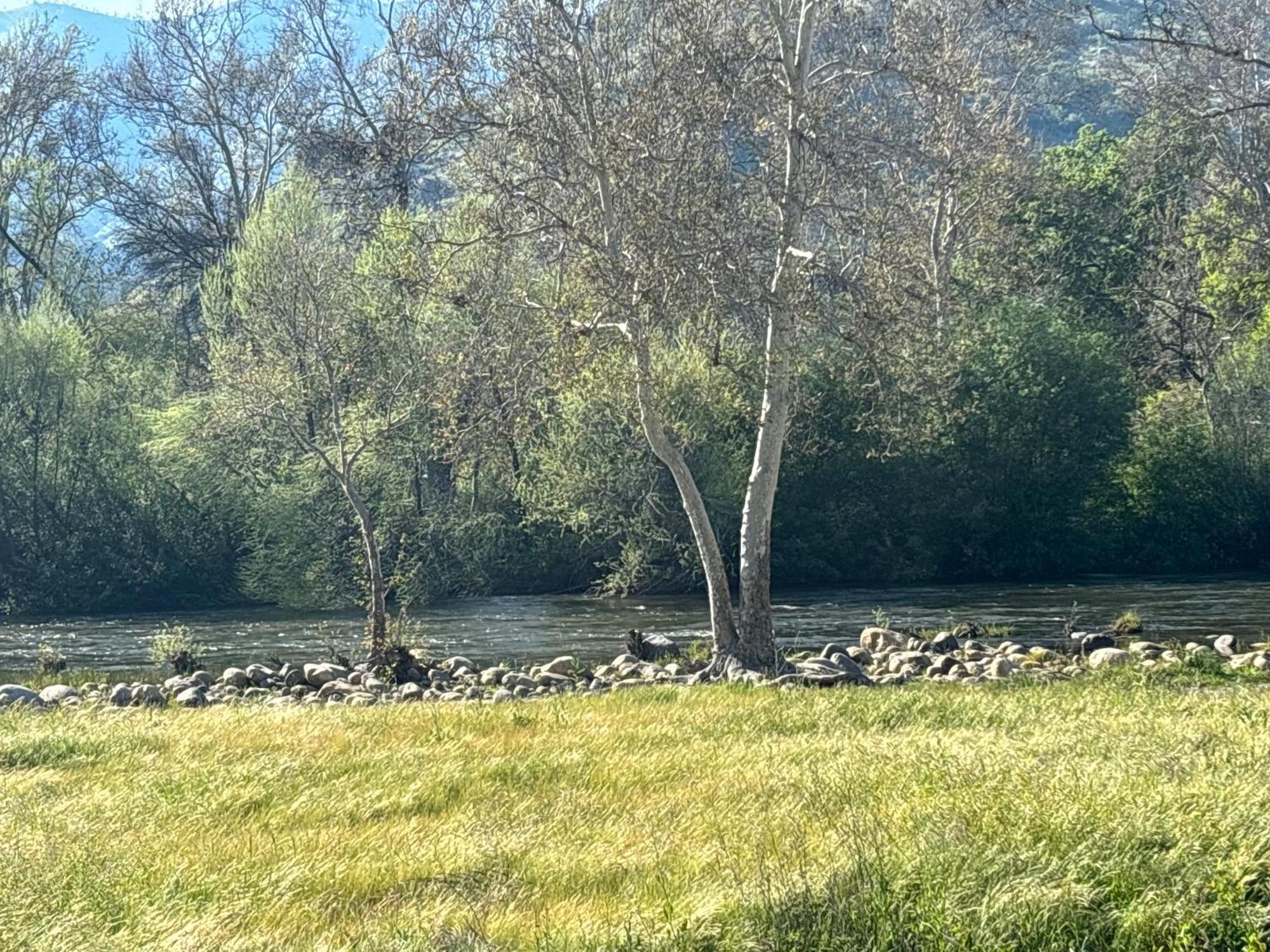Sequoia River Front Cabins Three Rivers Eksteriør billede